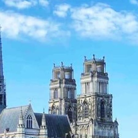 Superbe Appartement En Coeur De Ville 奥尔良 外观 照片