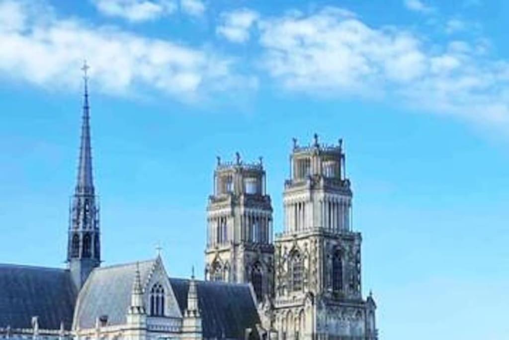 Superbe Appartement En Coeur De Ville 奥尔良 外观 照片