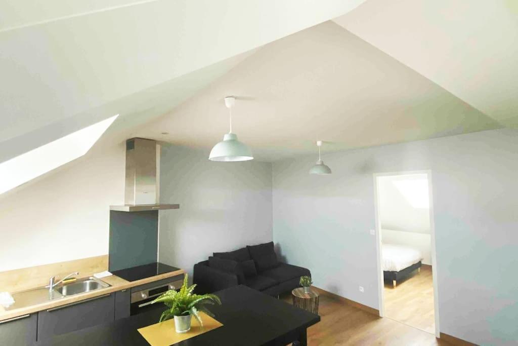 Superbe Appartement En Coeur De Ville 奥尔良 外观 照片