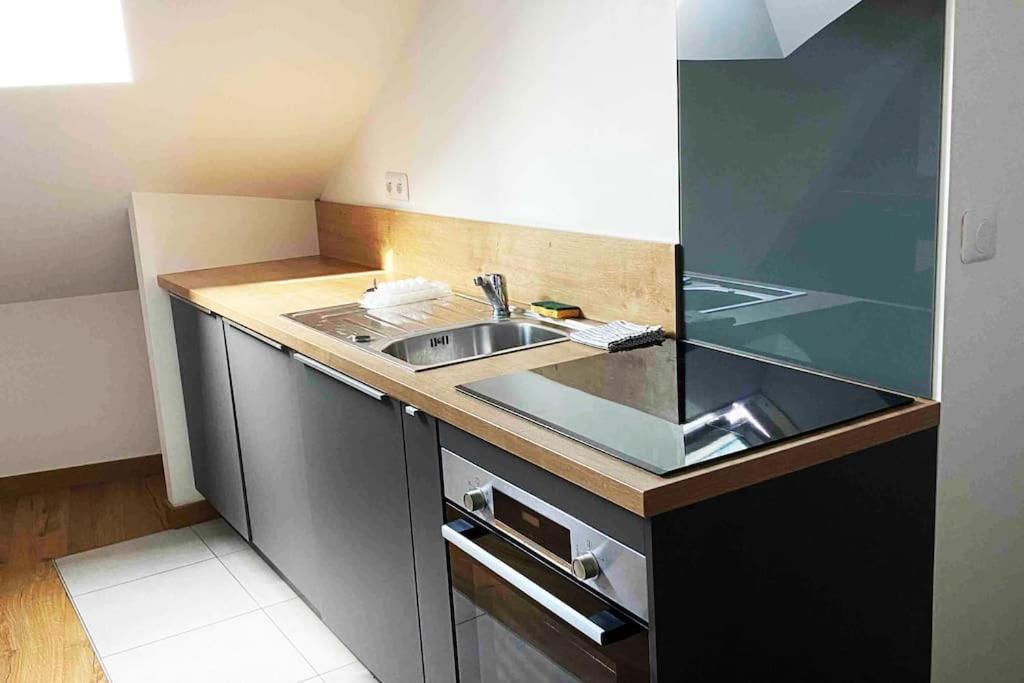 Superbe Appartement En Coeur De Ville 奥尔良 外观 照片